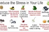Stress Can be Countered with Healthy Food
