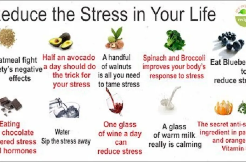 Stress Can be Countered with Healthy Food